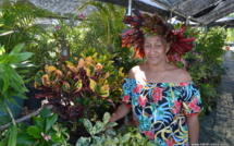 Floralies : le croton est mis à l'honneur cette année