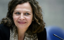 Pays-Bas: le développement d'embryons autorisé pour certaines recherches