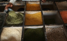 Mettre lentilles et pois chiches dans son assiette, une bonne action pour le climat