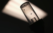 JO-2016: le virus Zika ne parasite pas la préparation olympique