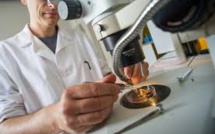 Des chercheurs dévoilent un projet pour créer un génome humain synthétique