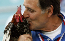 Le Coq de Clément d'Antibes interdit de stade pour l'Euro-2016
