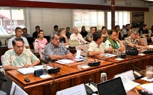 RNS : Brotherson joue son “49.3” face à une commission vent debout
