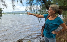 Vers un collectif pour la baie de Phaëton