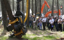 Sylviculture: la forêt cultivée, toujours plus high-tech et connectée