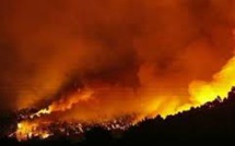 Arbres décimés et sécheresse: cocktail explosif pour les incendies dans l'ouest américain