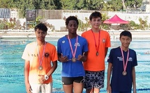 Natation – Une Web Confrontation animée