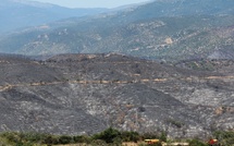 La canicule s'étend, 7.800 hectares déjà brûlés en huit jours