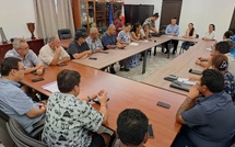 Les tāvana font bloc pour les urgences à Taravao