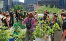 Agriculture urbaine: nourrir les villes, guérir les urbains