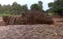 Recherche de survivants dans une mine d'or chinoise aux îles Salomon