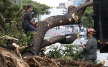 La tempête Lala provoque d'importantes coupures d'électricité à Hawaï