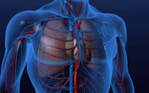 Grandes Tueuses": une série documentaire sur les maladies infectieuses mortelles