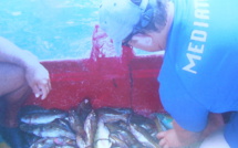 Moorea : des pêcheurs seront convoqués au tribunal pour pêche illicite