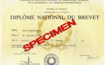Les résultats du Diplôme national du brevet (DNB)