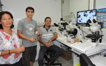 Ciguatéra : une situation "préoccupante"