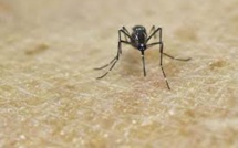 Premier décès du Zika aux Etats-Unis dans la zone continentale