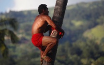 Sports Traditionnels – Heiva Tu’aro 2016 : Tainui Lenoir « C’est ma mère qui m’a appris à monter au cocotier »
