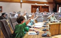 Ondes électromagnétiques : le CESC favorable au principe de précaution