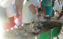 La chasse aux kaveu bientôt réglementée