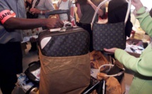 Pas de bonobo dans le sac à main! Les douaniers traquent les souvenirs de vacances interdits