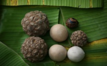 Carnet de voyage : Nuku Hiva : sur la piste des derniers enu de Taipivai