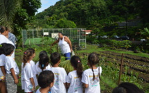 Pirae : 20 millions de Fcfp pour les projets de la population