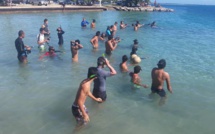 Pêche sous marine : bilan des championnats  et perspectives