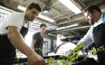 Cuisine: Un chef américain offre un menu tout cannabis