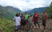 Un lambeau de forêt naturelle du plateau de Maraeti’a en cours de restauration