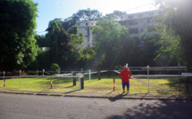 Pirae : Un pâturage pour un terrain de volleyball ?