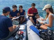 Une nouvelle licence “Océan et défis durables” ouvre à l’UPF