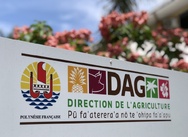 La Direction de l’agriculture touchée aussi par un préavis de grève La Direction de l’agriculture touchée aussi par un préavis de grève