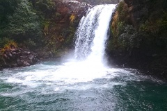 Tongariro 5 Wairere stream