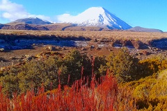Tongariro 12