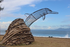 Il s'agit d'un dauphin à long bec. Une espèce qui fréquente toutes les eaux du monde.