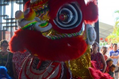 b-Dans la gueule du Lion !