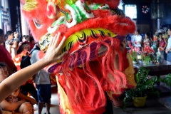 e-Caressez le Lion sur sa fourrure, mais ne touchez pas sa corne ou son miroir !