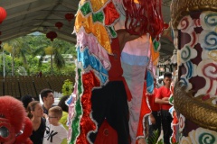 g-Derrière les lions se cachent des danseurs professionnels qui répètent assiduement