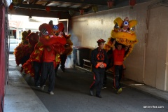 j-Les lions vont se promener en ville, à la chasse aux mauvais esprits dans les commerces qui les inviteront