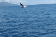 Crédit Régis Technical Diving.