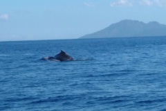 Crédit Régis Technical Diving.