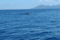 Crédit Régis Technical Diving.