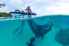 Fa'aora, évaluer pour solutionner la problématique des déchets en mer.