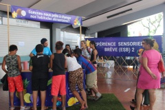 Des expériences et ateliers