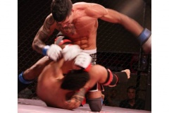 10149864_550395855073753_1980463511_n