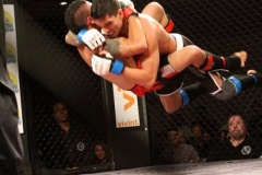 10151710_550395571740448_1905833460_n