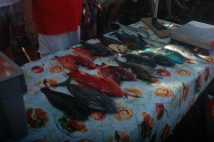 de belles pêches ont été présentées lors de ces 2 journées