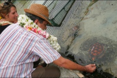 2014-10-21 VISITE CLINIQUE DES TORTUES (4)