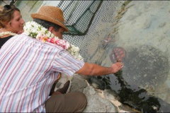 2014-10-21 VISITE CLINIQUE DES TORTUES (2)